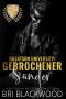 [Shattered Trilogy 02] • Gebrochener Sünder